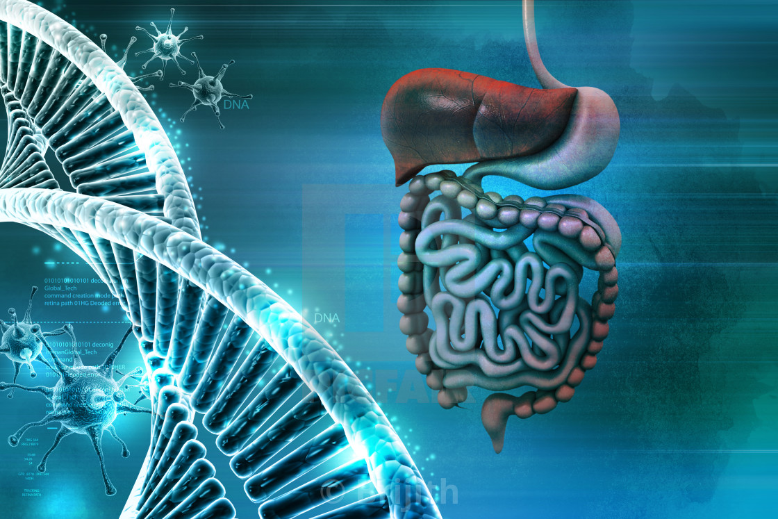 Enfermedades del Sistema Digestivo